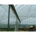 multi span tunnel greenhouse for sale